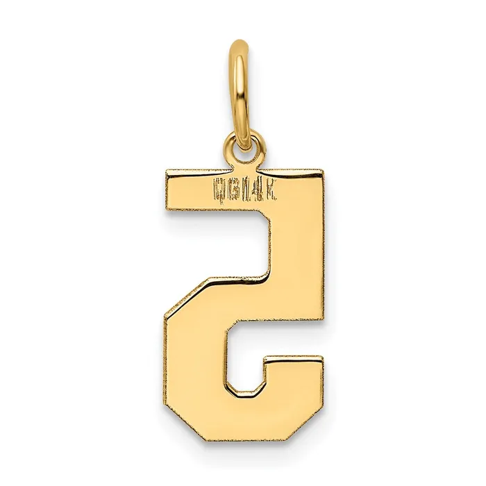 TreasureFineJewelers 14k Medium Polished Number 5 Charm Charm Necklaces