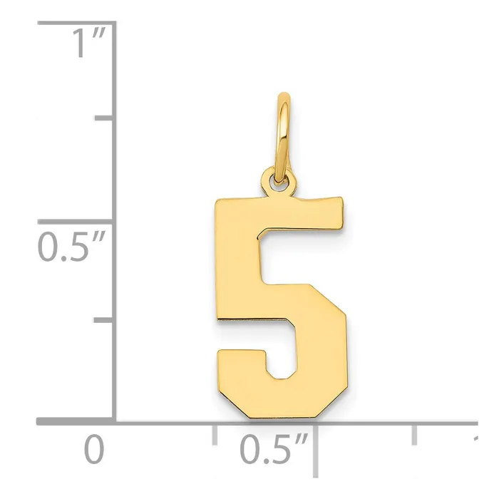 TreasureFineJewelers 14k Medium Polished Number 5 Charm Charm Necklaces